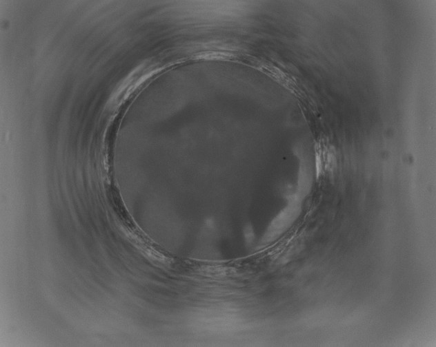 X0000072540339200607281629