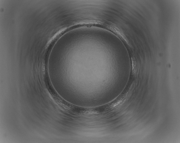 X0000072540348200607281629