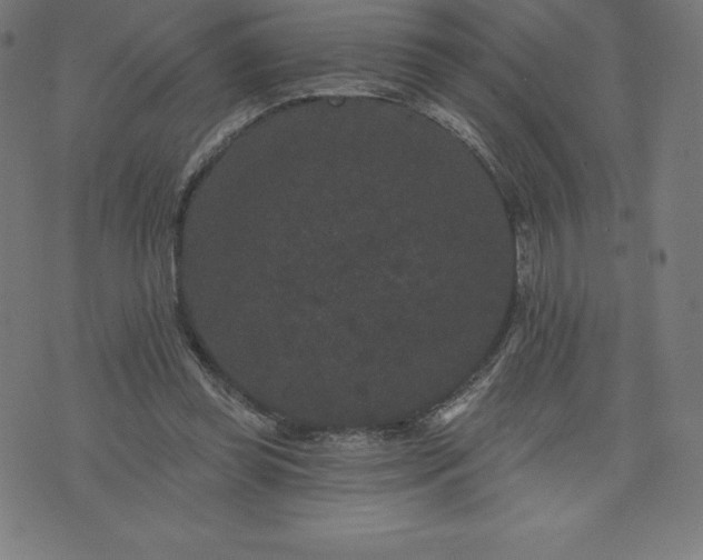 X0000072540349200607281629