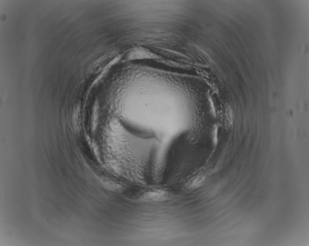 X0000072540364200607281629