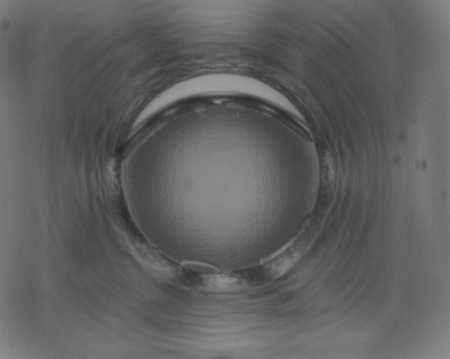 X0000072540380200607281630