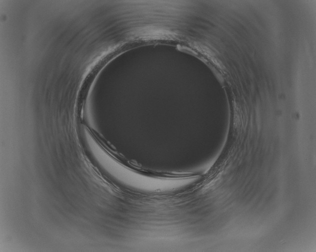 X0000072540391200607281629