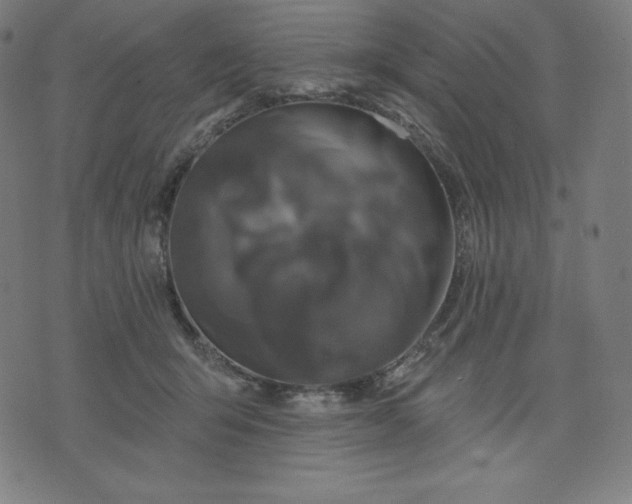 X0000072540415200607281629