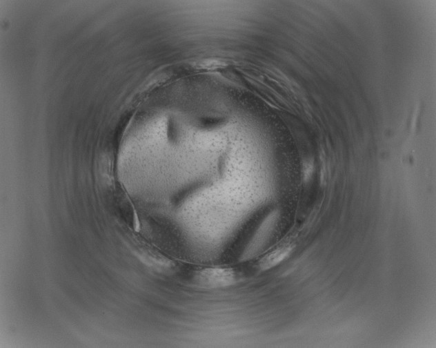 X0000072540421200607281628
