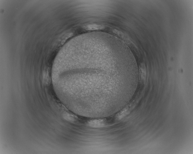 X0000072540422200607281628