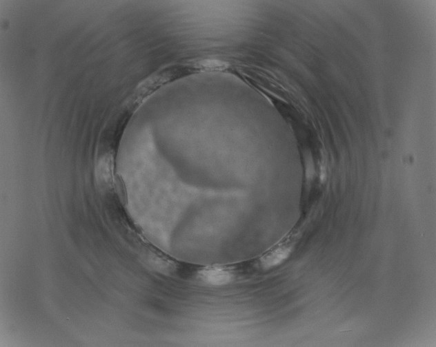 X0000072540425200607281628