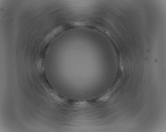 X0000072540428200607281628