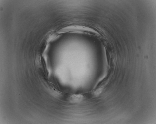 X0000072540429200607281628