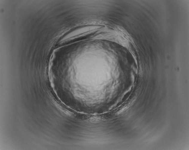 X0000072540441200607281628