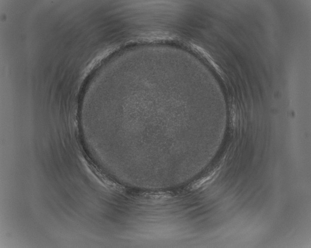 X0000072540443200607281628