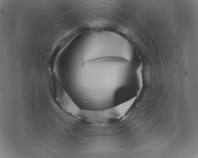 X0000072540448200607281628
