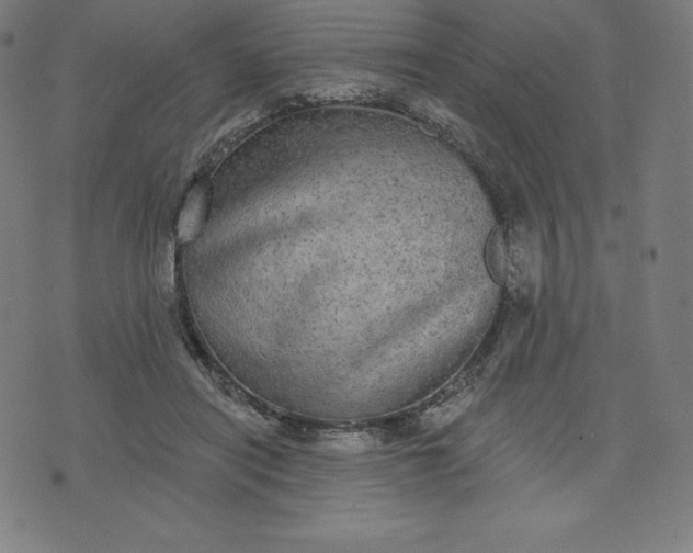 X0000072540454200607281628