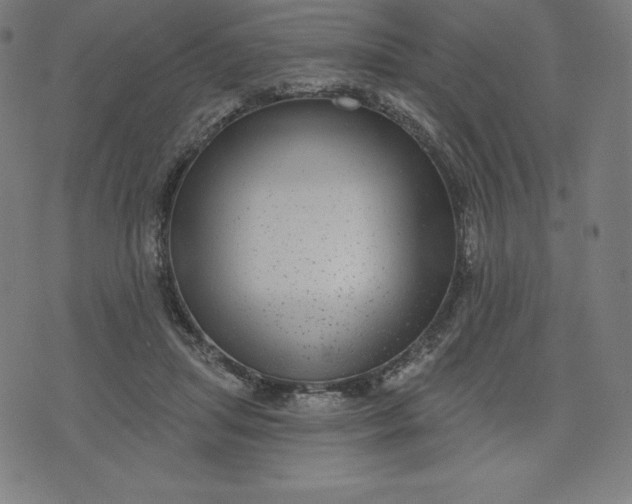 X0000072540455200607281628