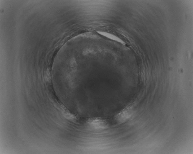 X0000072540467200607281628