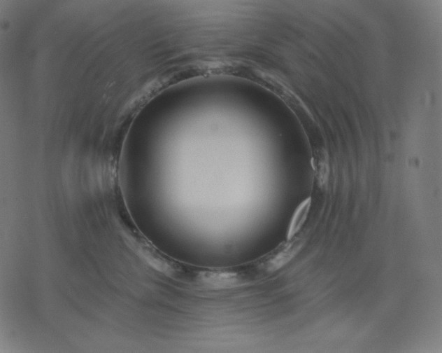 X0000072540476200607281628