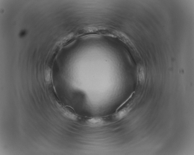 X0000072540477200607281628