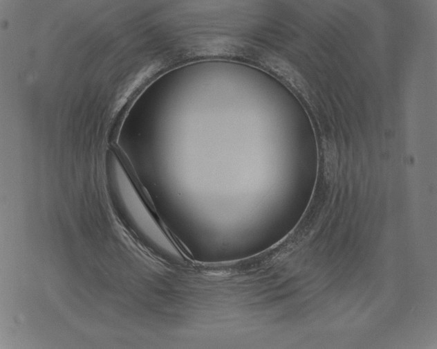 X0000072540482200607281627