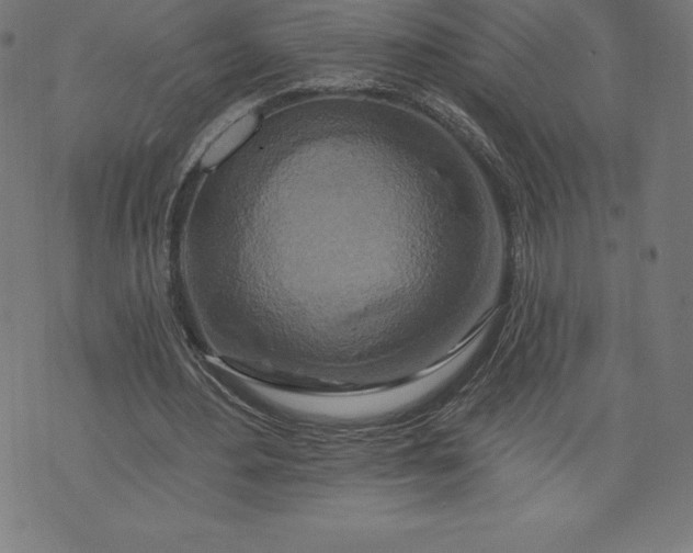 X0000072540484200607281627