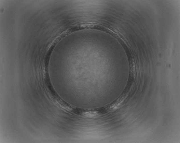 X0000072540508200607281627