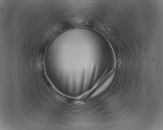 X0000072540515200607281627