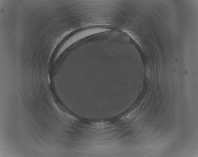 X0000072540540200607281626
