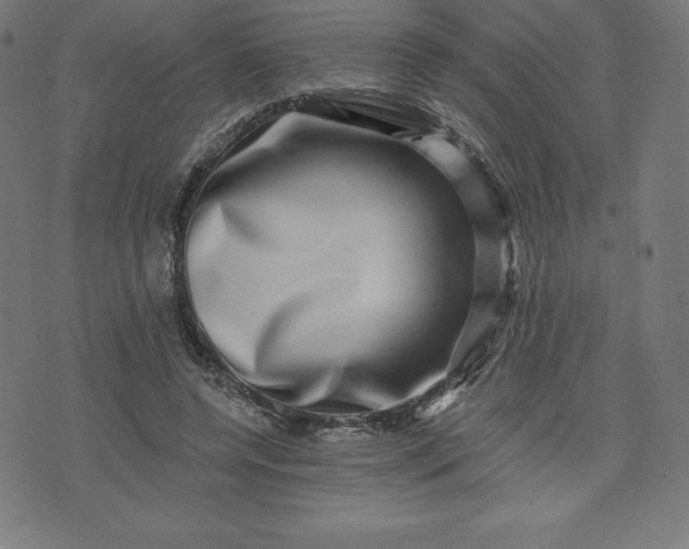 X0000072540544200607281626