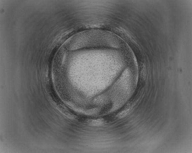 X0000072540548200607281626