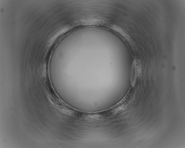 X0000072540583200607281626