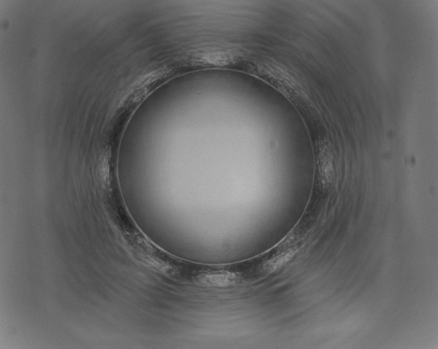 X0000072540595200607281626