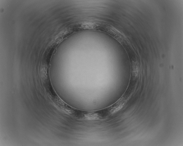 X0000072540603200607281625