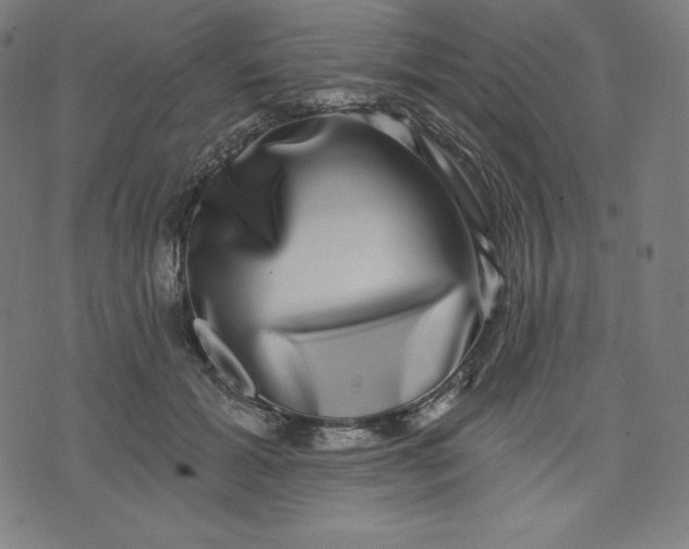 X0000072540605200607281625