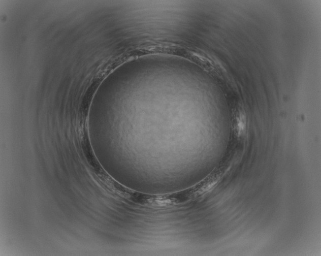 X0000072540607200607281625