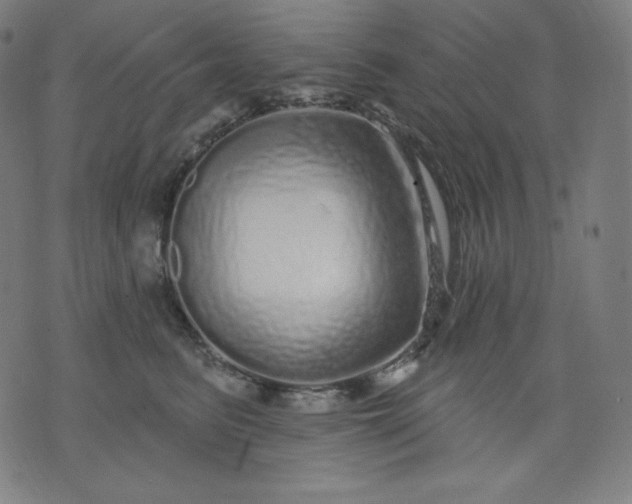 X0000072540615200607281625