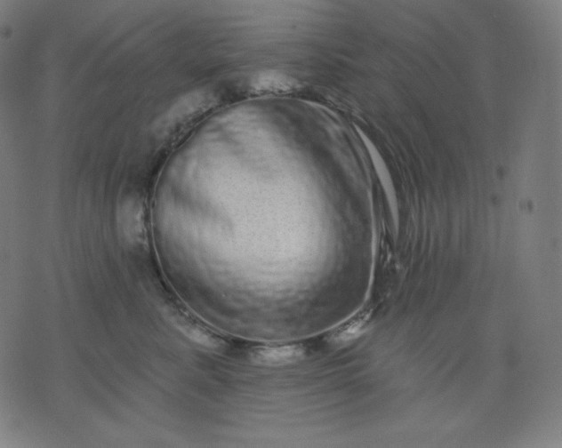 X0000072540619200607281625