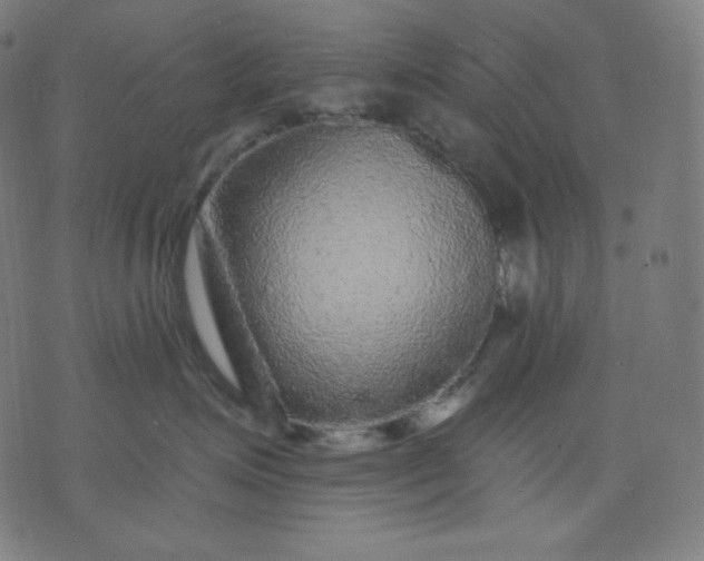 X0000072540623200607281625