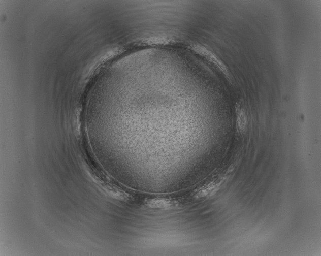 X0000072540635200607281625