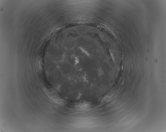 X0000072540643200607281625