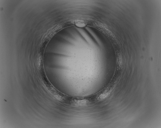 X0000072540645200607281625