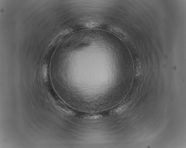 X0000072540646200607281625