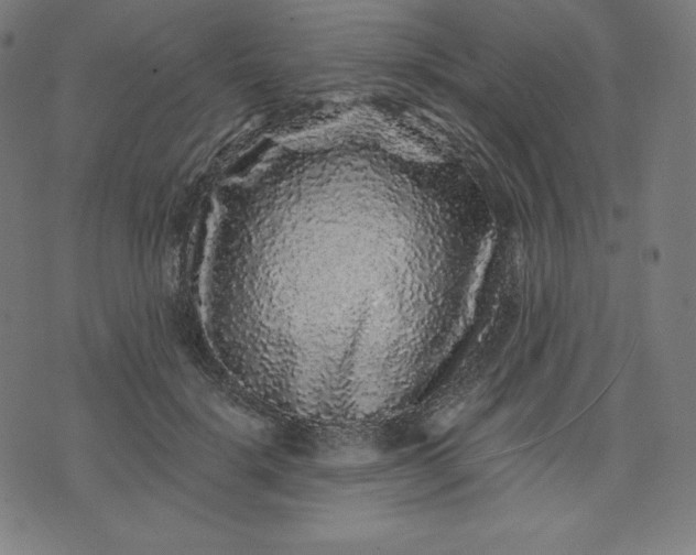 X0000072540652200607281625