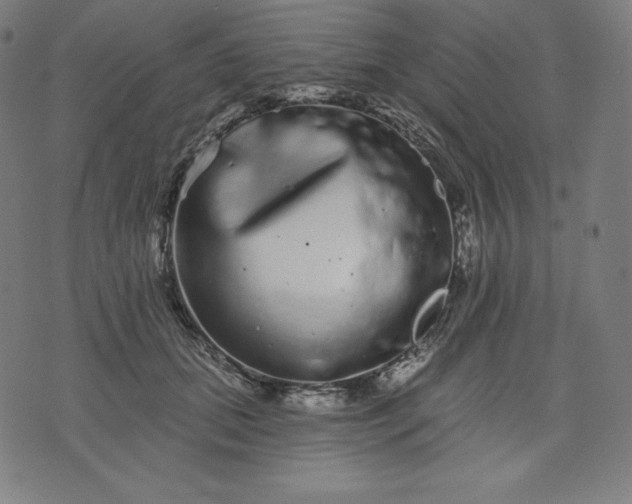 X0000072540655200607281625