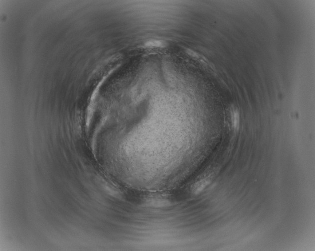X0000072540664200607281625