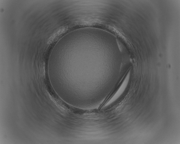 X0000072540685200607281624