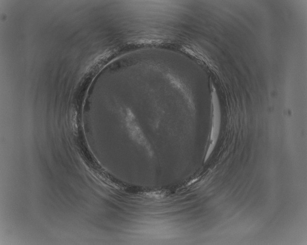 X0000072540692200607281624