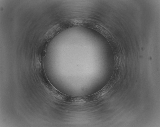 X0000072540702200607281624