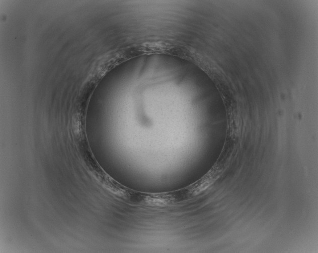 X0000072540706200607281624
