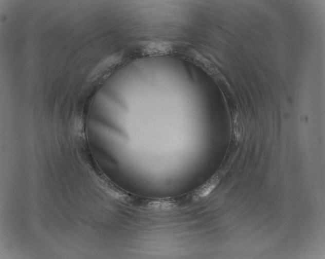X0000072540714200607281624