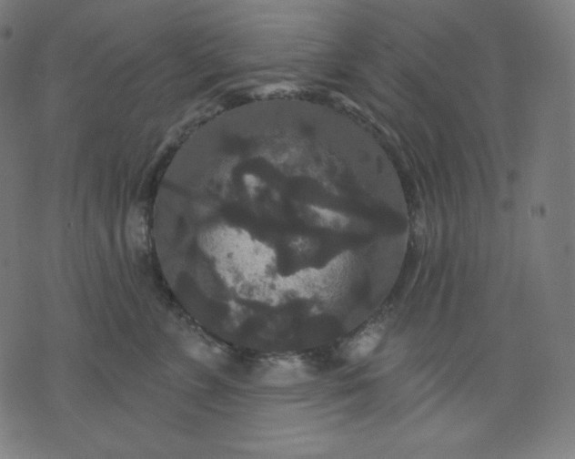 X0000072540715200607281624