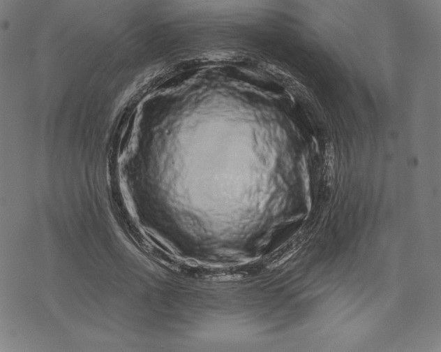 X0000072540734200607281623