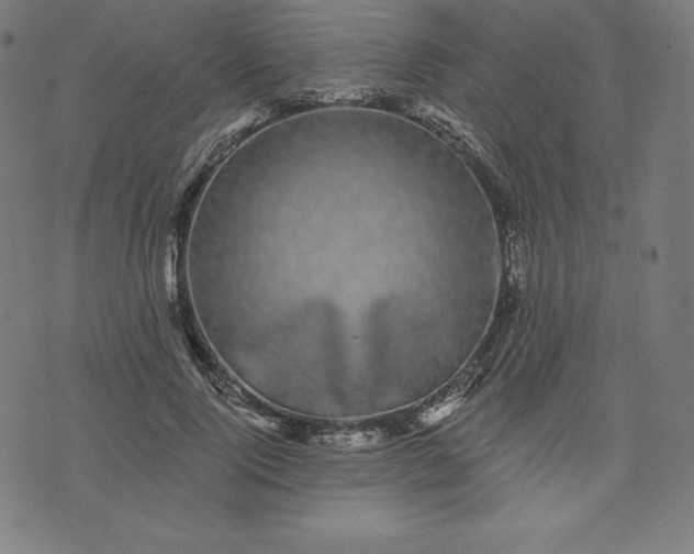 X0000072540740200607281623